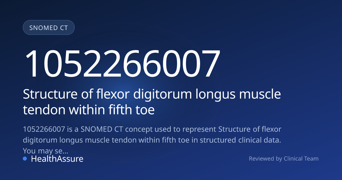 SNOMED CT 1052266007 | Structure of flexor digitorum longus muscle ...