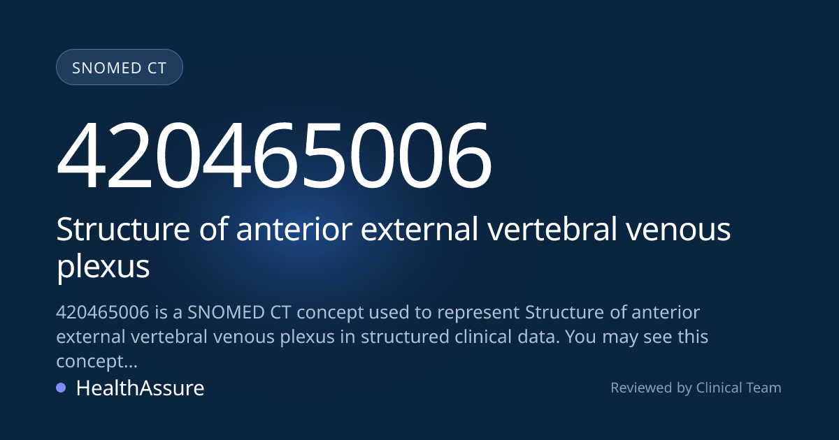SNOMED CT 420465006 | Structure of anterior external vertebral venous ...