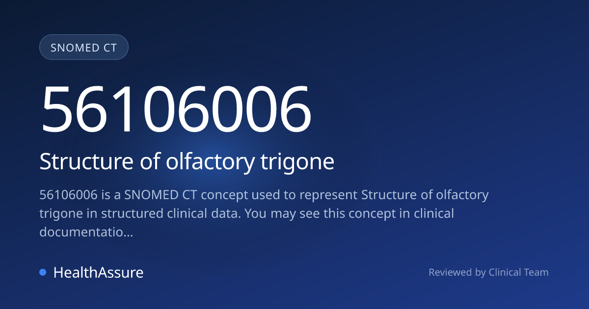 SNOMED CT 56106006 | Structure of olfactory trigone | HealthAssure