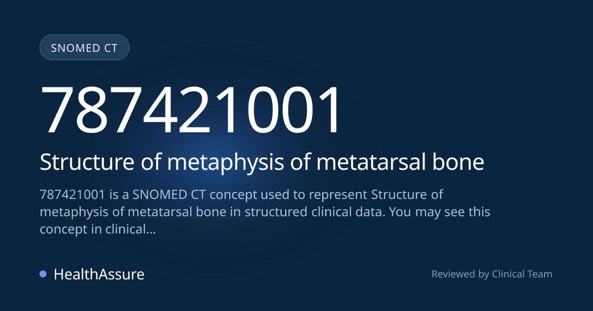 SNOMED CT 787421001 | Structure of metaphysis of metatarsal bone ...