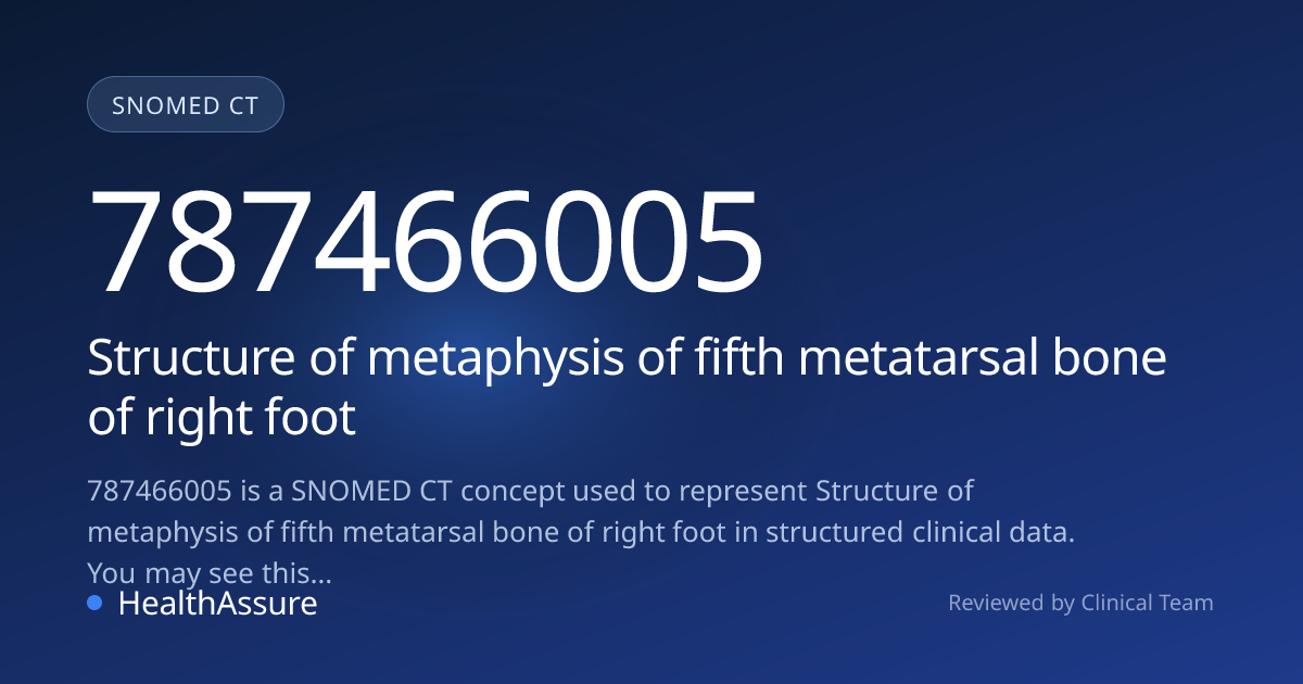 SNOMED CT 787466005 | Structure of metaphysis of fifth metatarsal bone ...