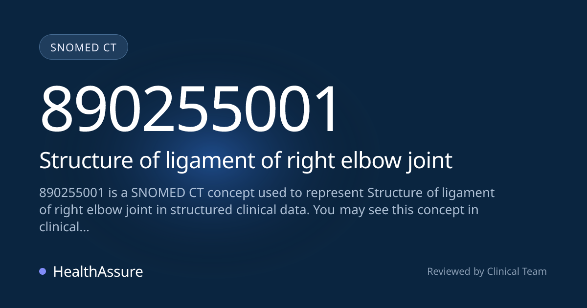 SNOMED CT 890255001 | Structure of ligament of right elbow joint ...